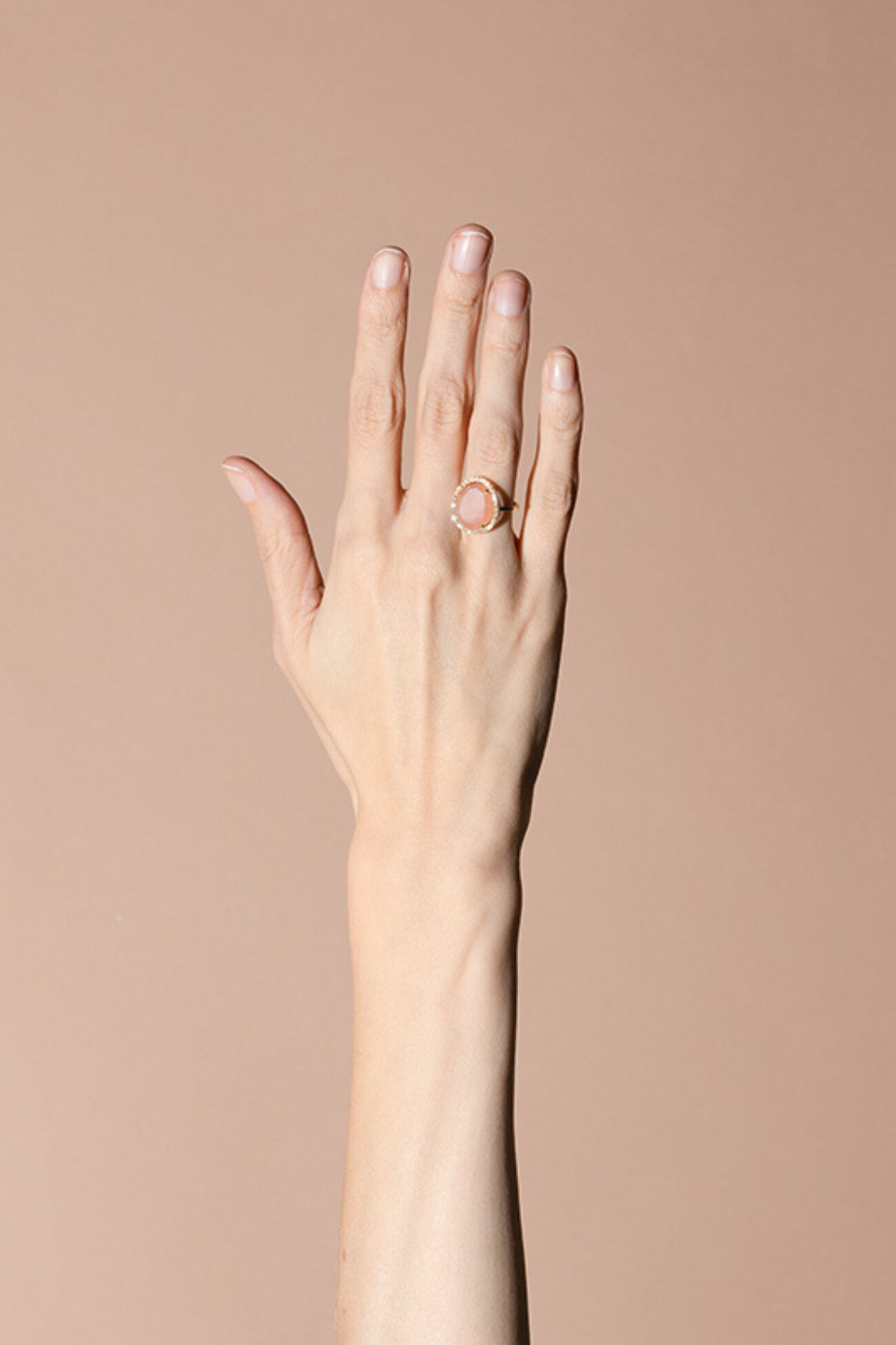 Elisalee lux limited maansteen halo ring 4