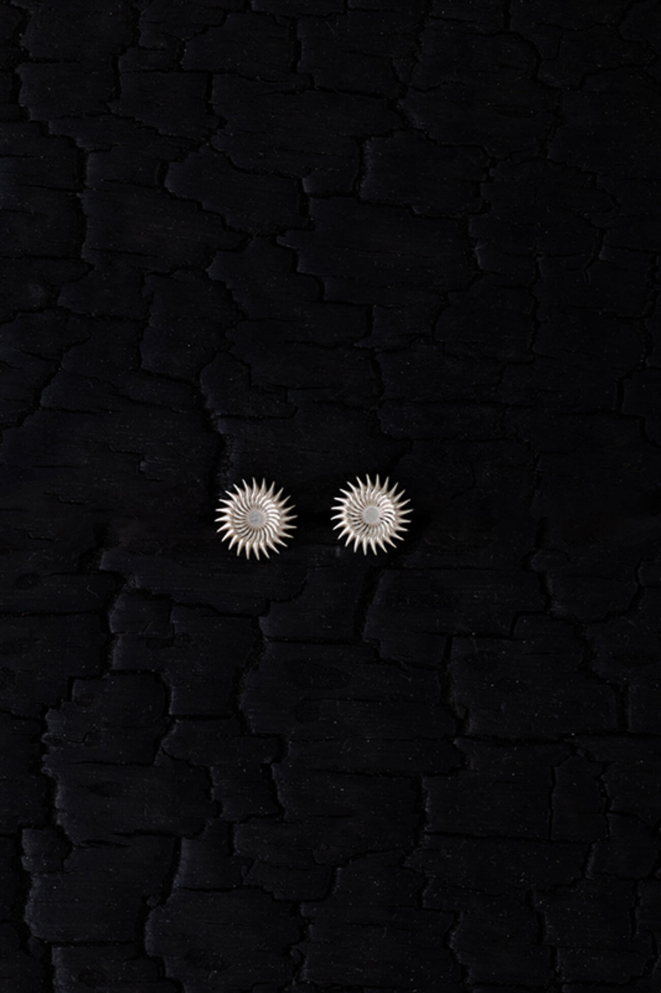 Elisalee the sun button1